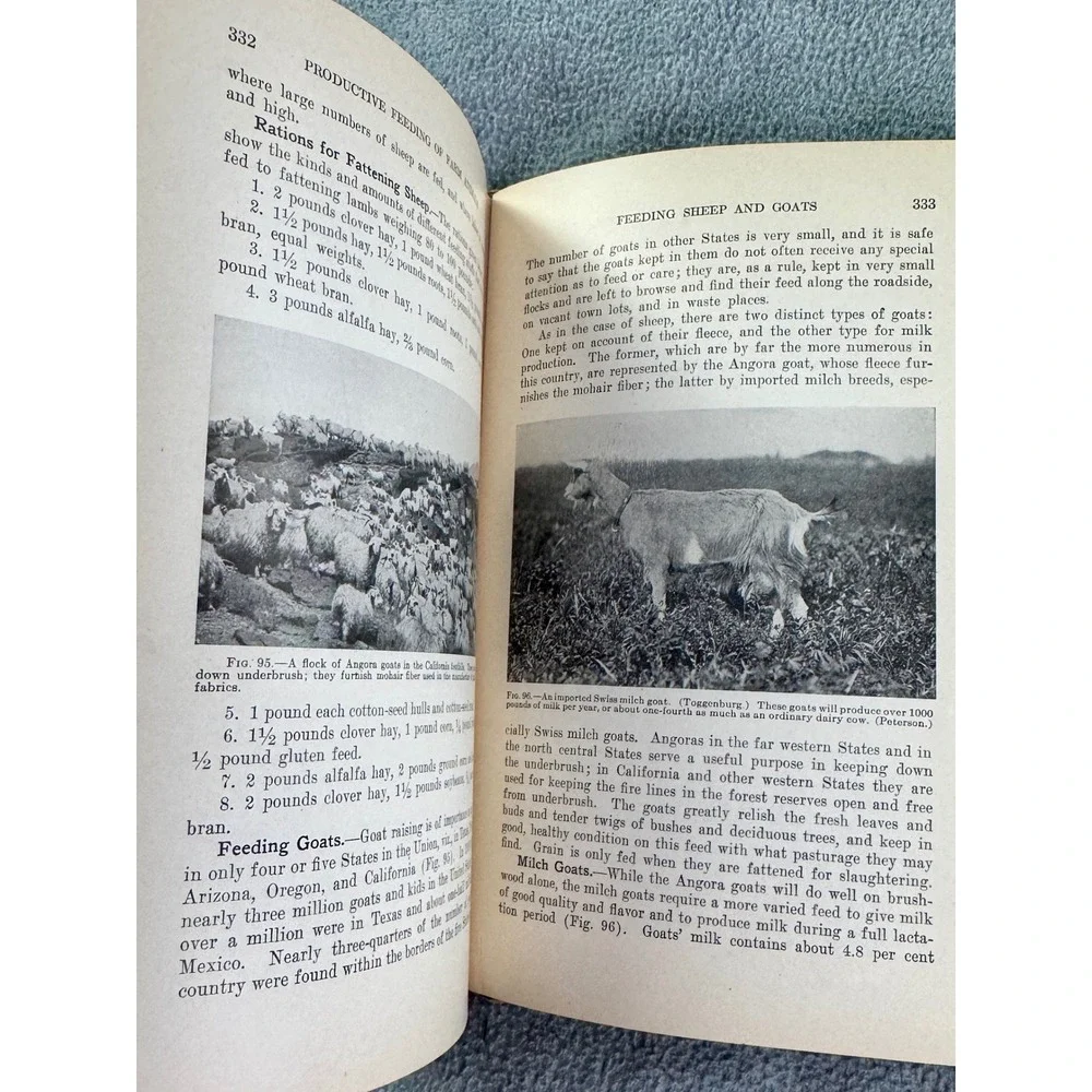 Antique Productive Feeding of Farm Animals Lippincott's Farm Manuals F.W.‎ Woll